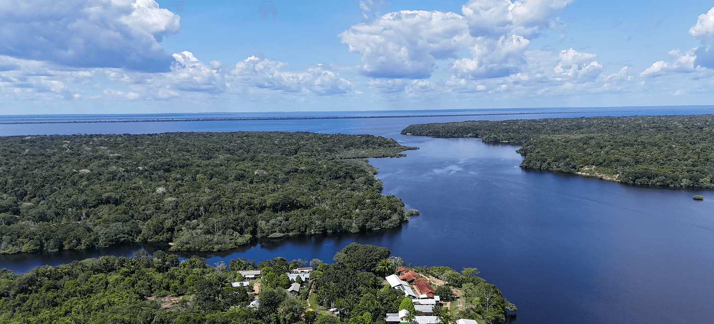 Visão panorâmica do rio negro